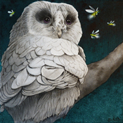 Quin (the Owl)